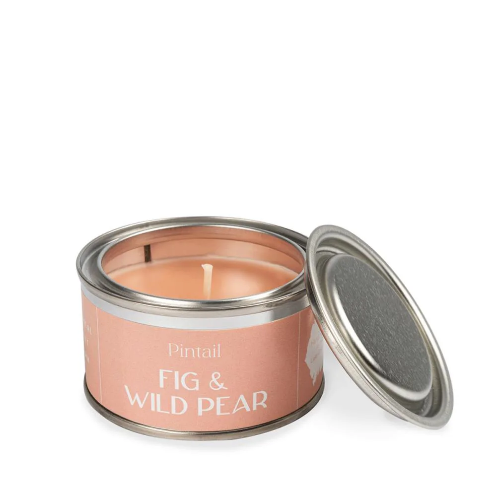 Pintail Candles Fig &amp; Wild Pear Paint Pot Candle