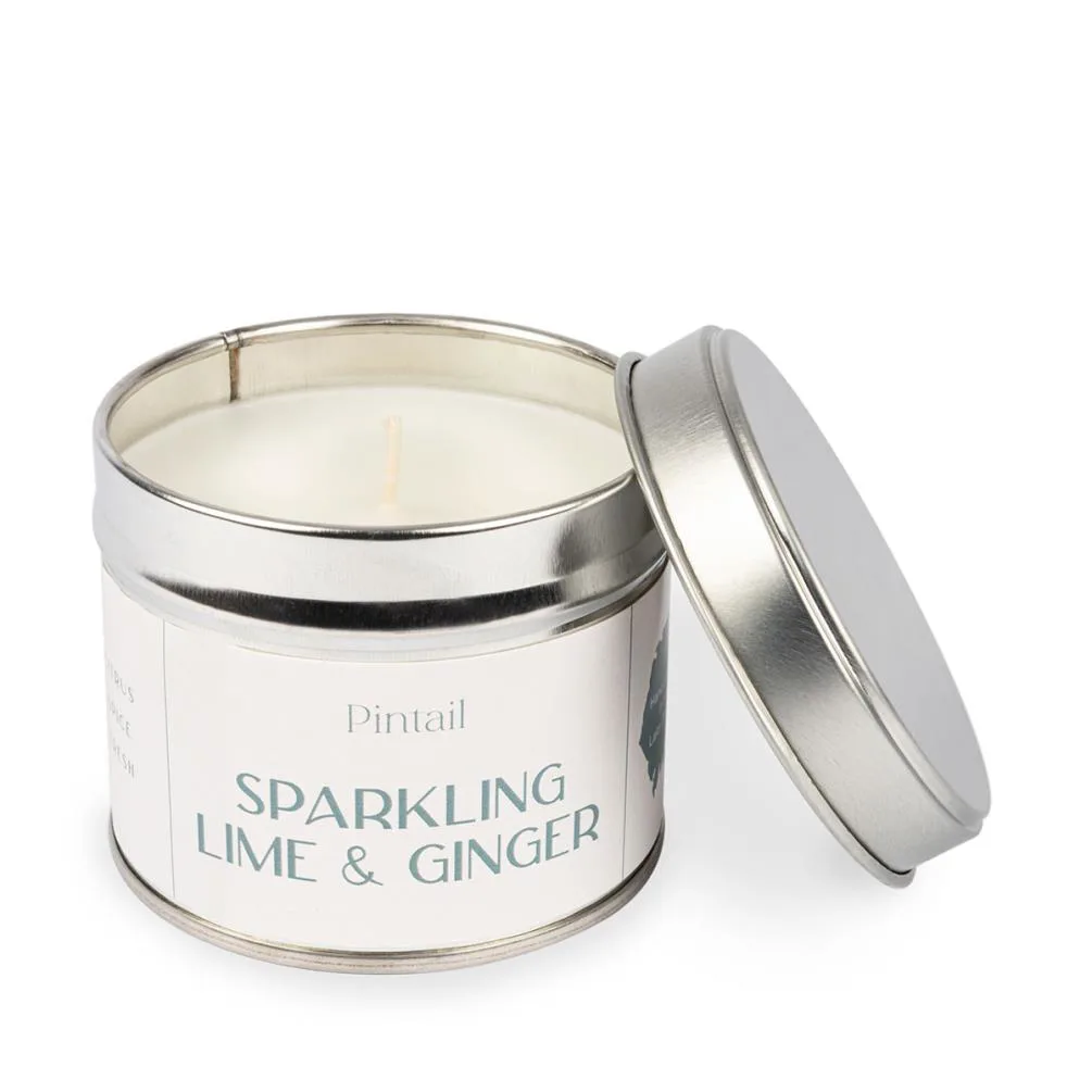 Pintail Candles Sparkling Lime &amp; Ginger Tin Candle