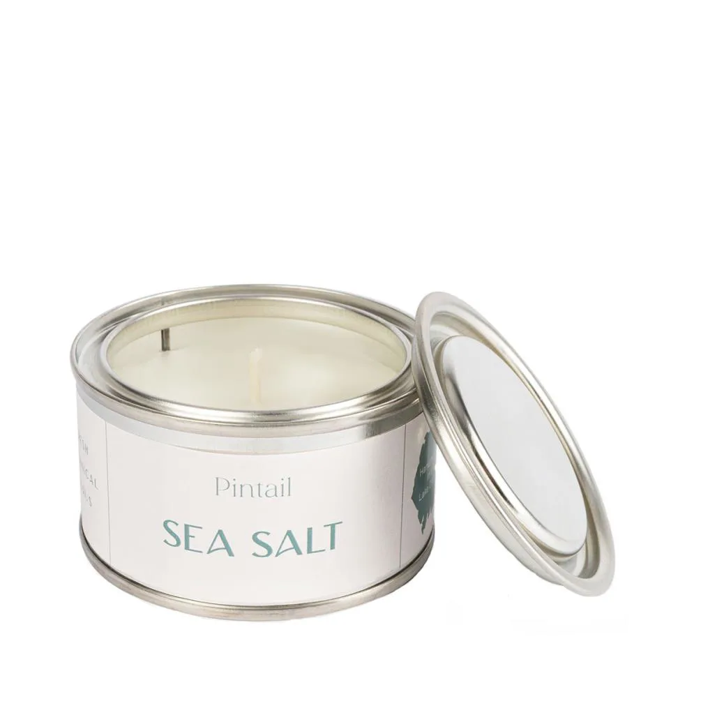 Pintail Candles Sea Salt Paint Pot Candle