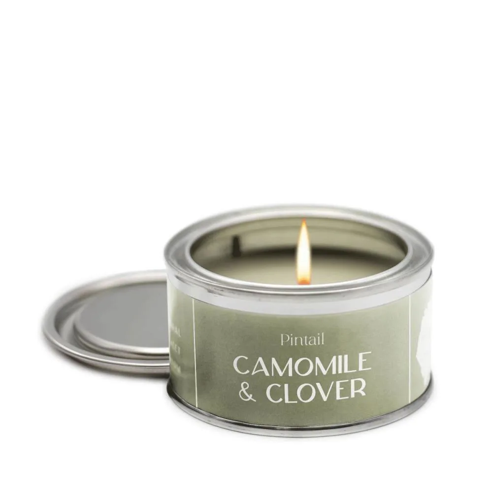 Pintail Candles Camomile &amp; Clover Paint Pot Candle
