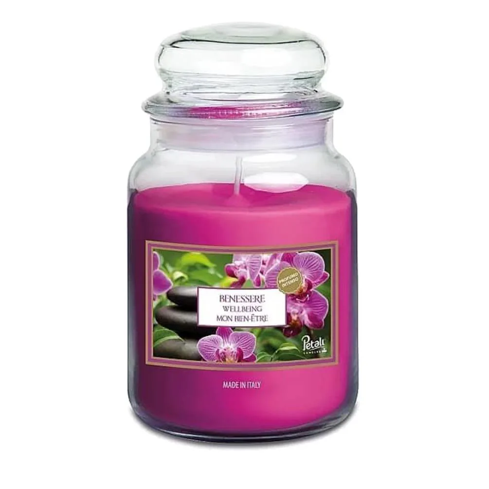 Petali Wellbeing Large Jar Candle