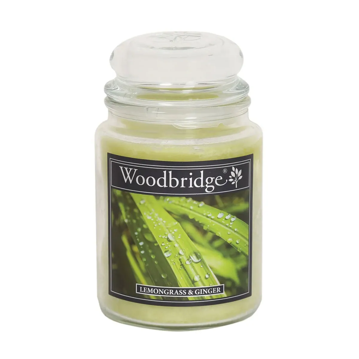 Woodbridge Lemongrass & Ginger Large 1 Wick Jar Candle