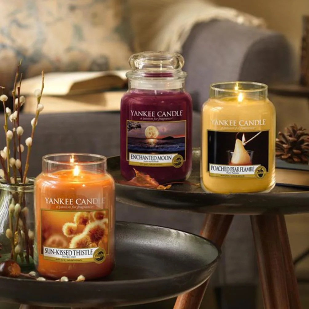 Yankee Candle LIMITED EDITION Sun-Kissed Thistle Large Jar Extra Image 2