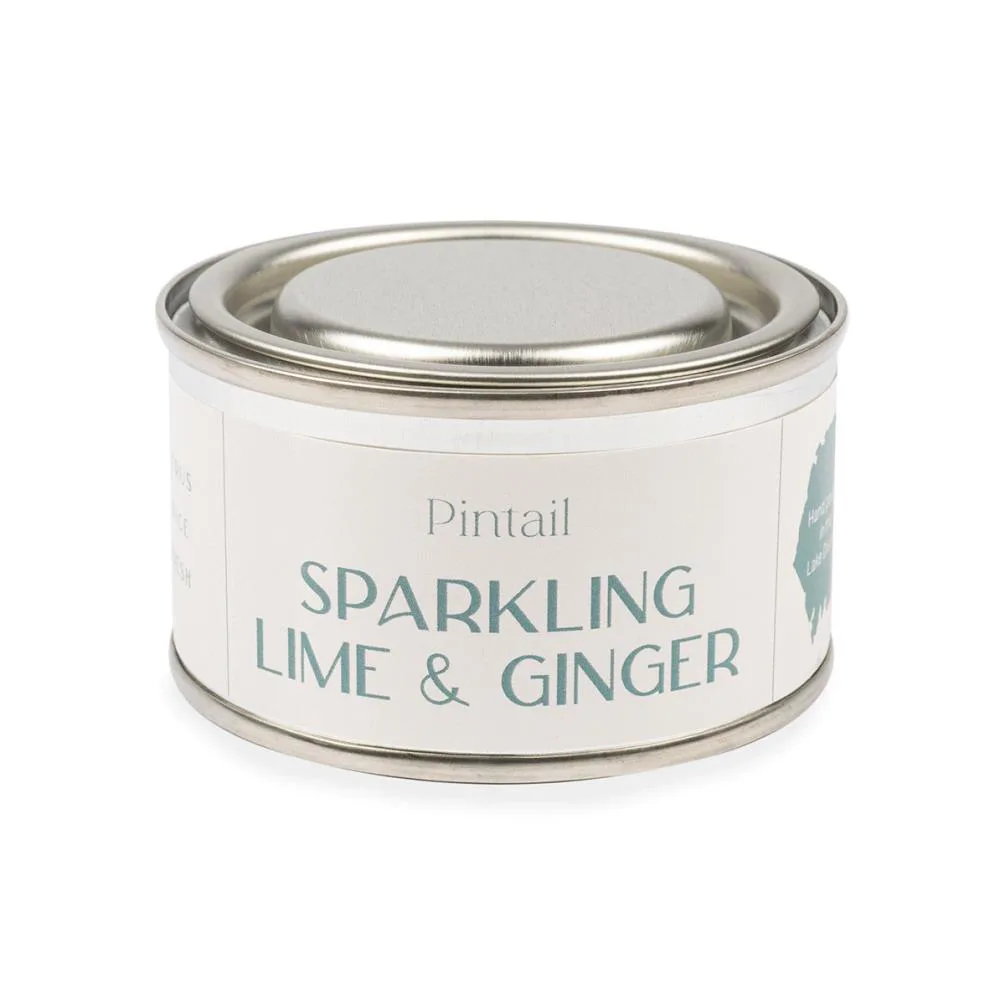 Pintail Candles Sparkling Lime & Ginger Paint Pot Candle Extra Image 1