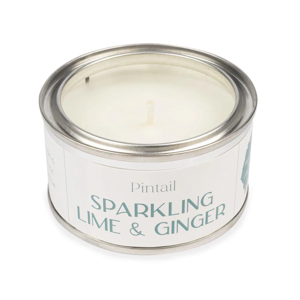 Pintail Candles Sparkling Lime & Ginger Paint Pot Candle Extra Image 2