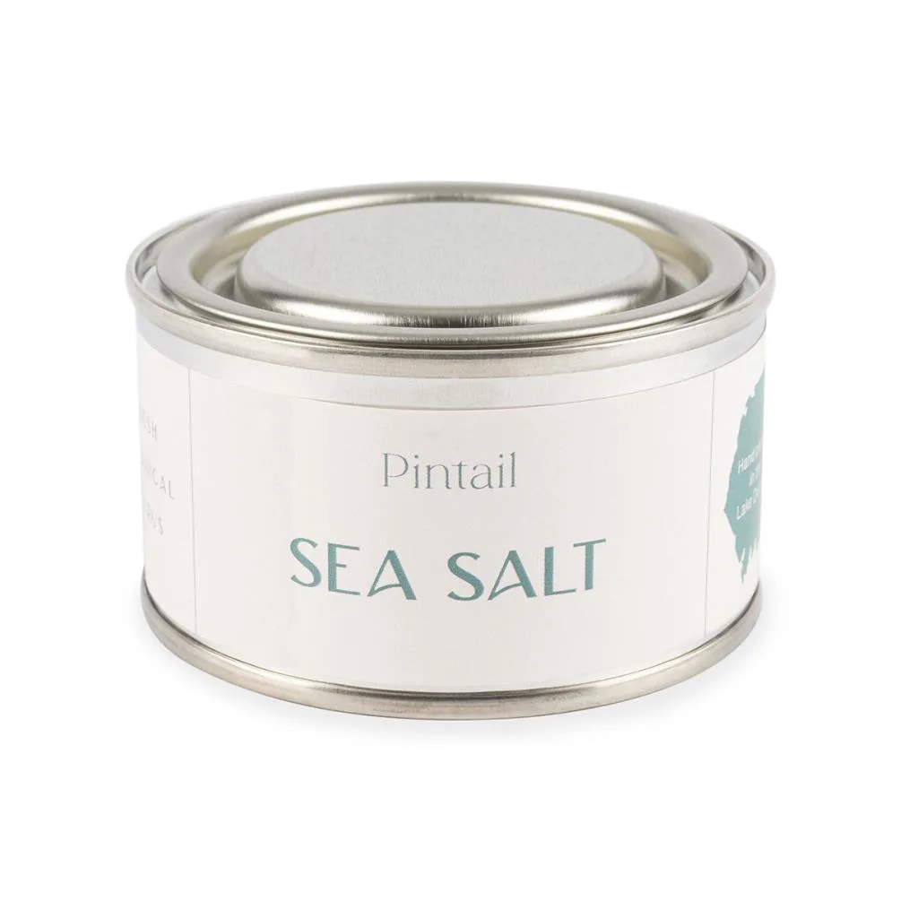 Pintail Candles Sea Salt Paint Pot Candle Extra Image 1