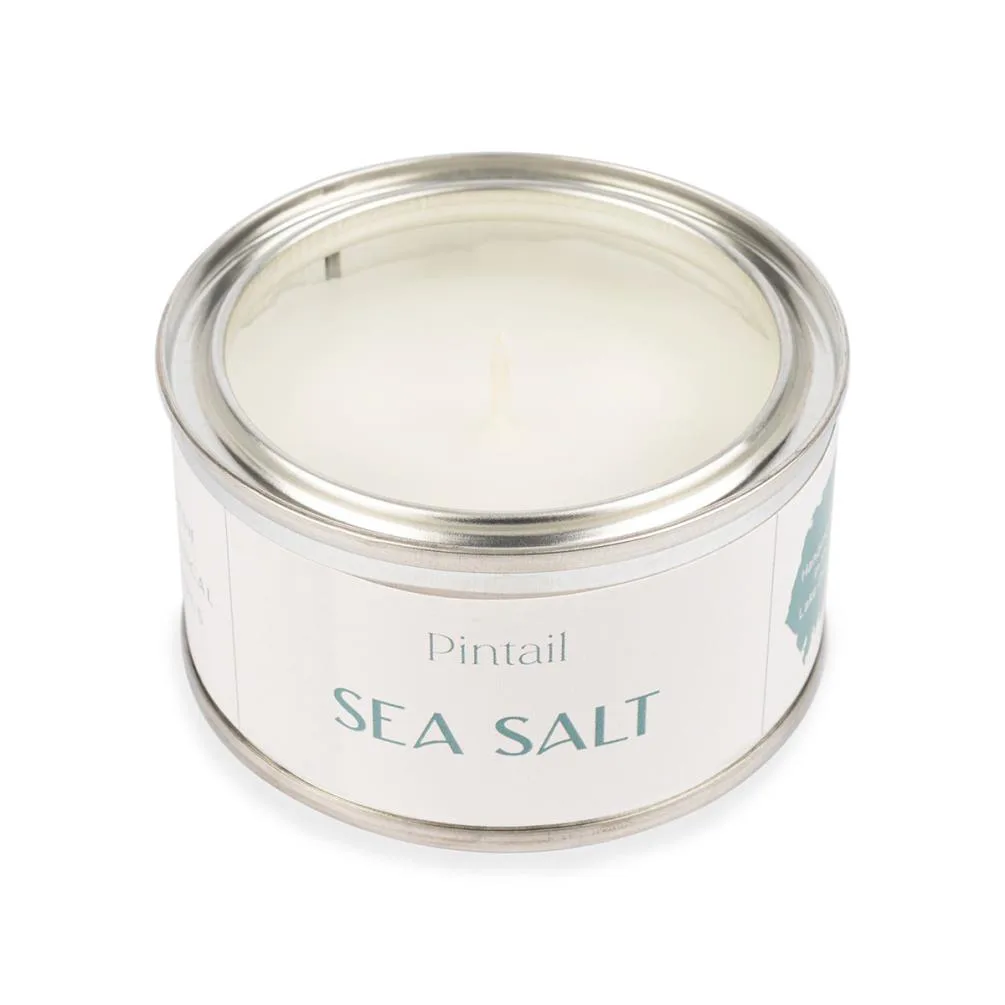 Pintail Candles Sea Salt Paint Pot Candle Extra Image 2