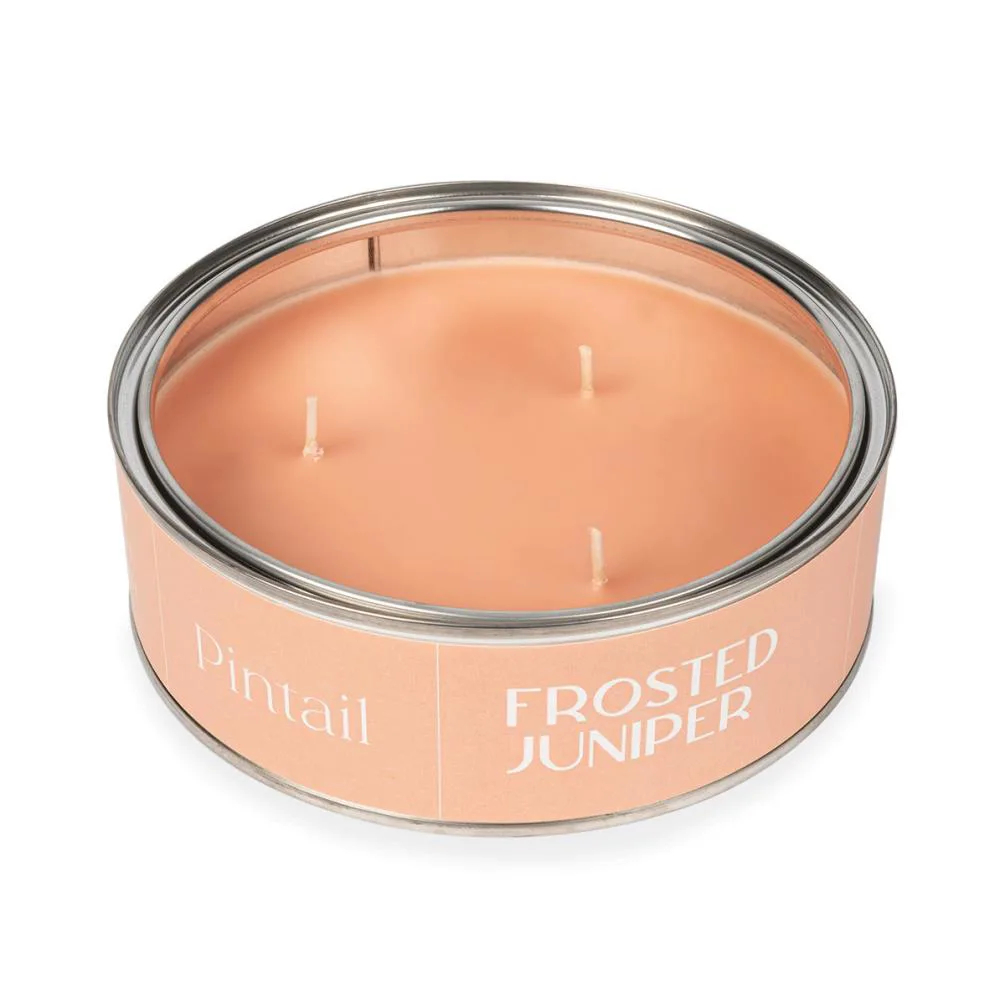 Pintail Candles Frosted Juniper Triple Wick Tin Candle Extra Image 2
