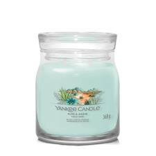 Yankee Candle Aloe & Agave Medium Jar