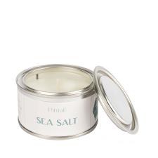 Pintail Candles Sea Salt Paint Pot Candle
