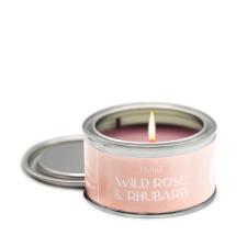 Pintail Candles Wild Rose &amp; Rhubarb Paint Pot Candle