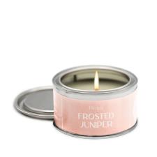 Pintail Candles Frosted Juniper Paint Pot Candle