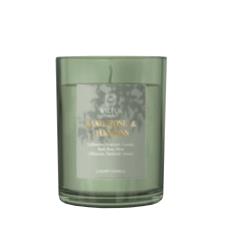 Baltus Basil, Rose & Oak Moss Luxe Lagom Candle