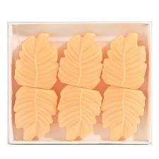 Woodbridge Peach Blossom & Vanilla Wax Melts (Pack of 6)