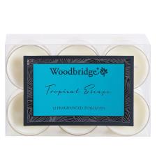 Woodbridge Tropical Escape 4 Hour Tealights (Pack of 12)