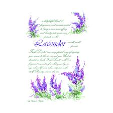 Willowbrook Lavender Large Scented Sachet