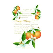 Willowbrook Orange Honey Large Scented Sachet