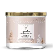 Woodbridge Winter Wonderland Tumbler Jar Candle