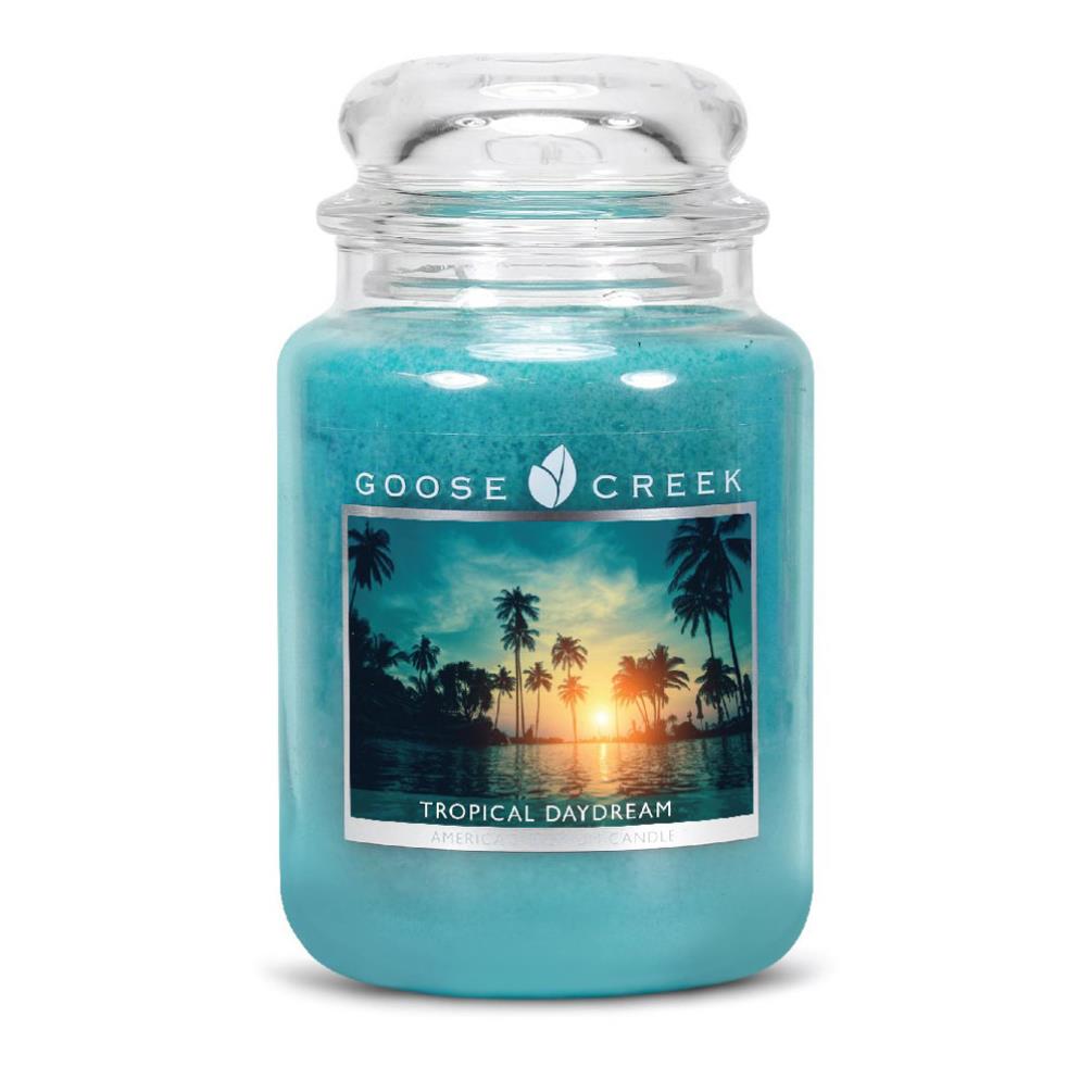 Goose Creek Tropical Daydream Large Jar Candle (ES24622 