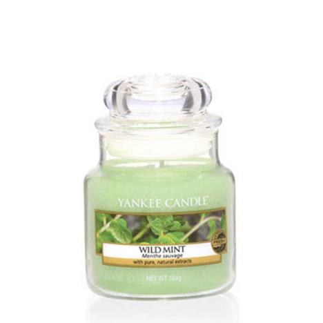 Yankee Candle Wild Mint Small Jar  £8.09