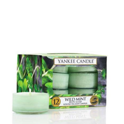 Yankee Candle Wild Mint Tea Lights (Pack of 12)  £6.29