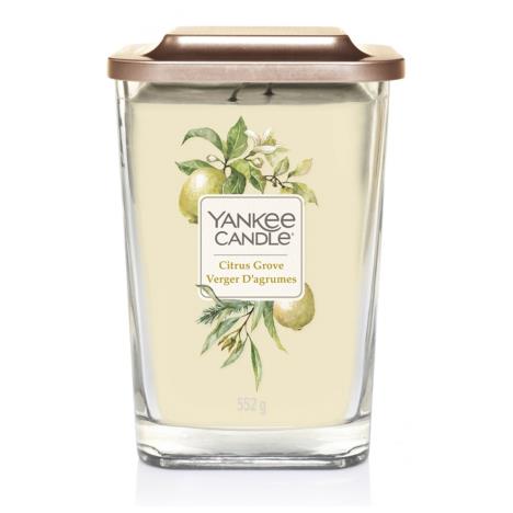 Yankee Candle Citrus Grove Elevation Large Jar Candle  £18.19