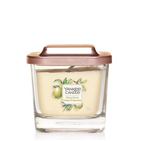 Yankee Candle Citrus Grove Elevation Small Jar Candle  £5.59