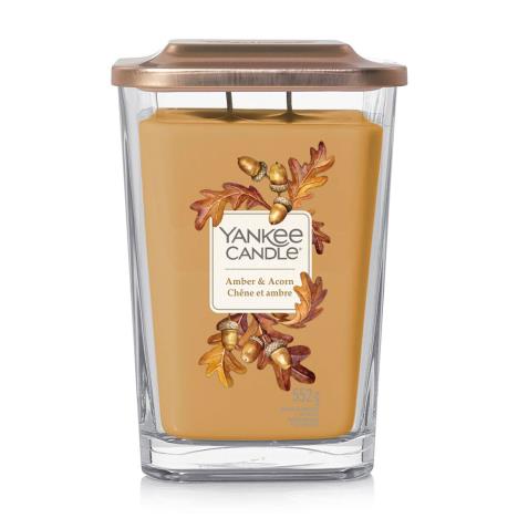 Yankee Candle Amber & Acorn Elevation Large Jar Candle  £18.19
