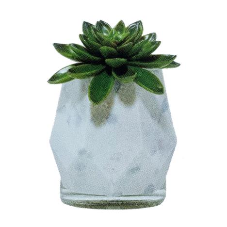 Yankee Candle Succulent Light Sensor Scent Plug Diffuser