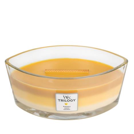 WoodWick Fruit Of Summer HearthWick Ellipse Jar Candle