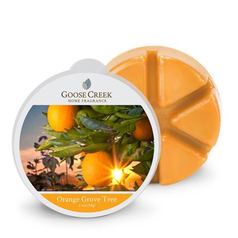 Goose Creek Orange Grove Tree Wax Melts  £4.94
