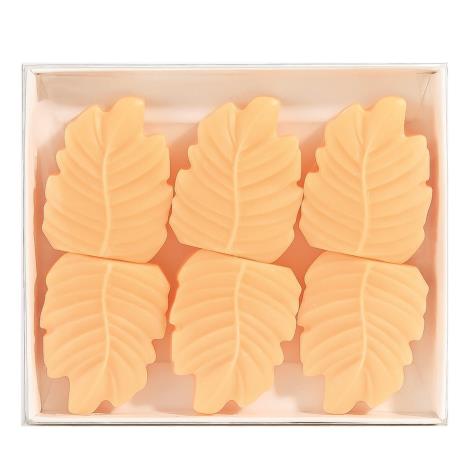 Woodbridge Peach Blossom & Vanilla Wax Melts (Pack of 6)  £4.94