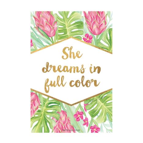 Willowbrook Dream In Full Color Large Scented Sachet